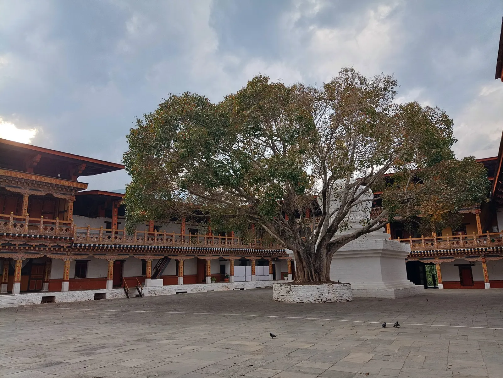 The courtyard of Punakha Dzong with an old bodhi tree and timber galleries